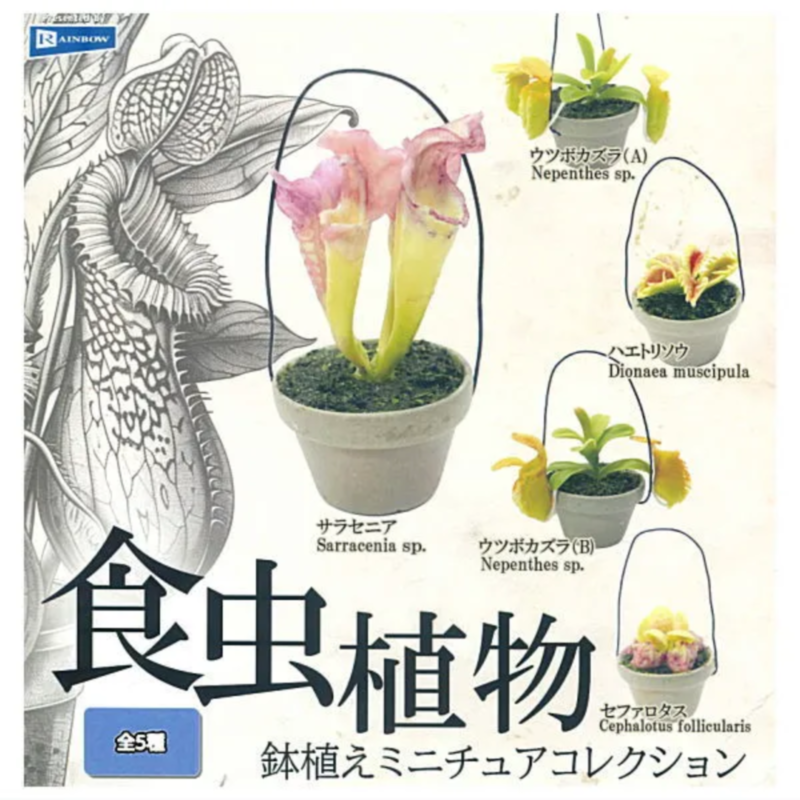 Japan Rainbow Gashapon Capsule - огляд і ціна Capsule Toy Gashapon