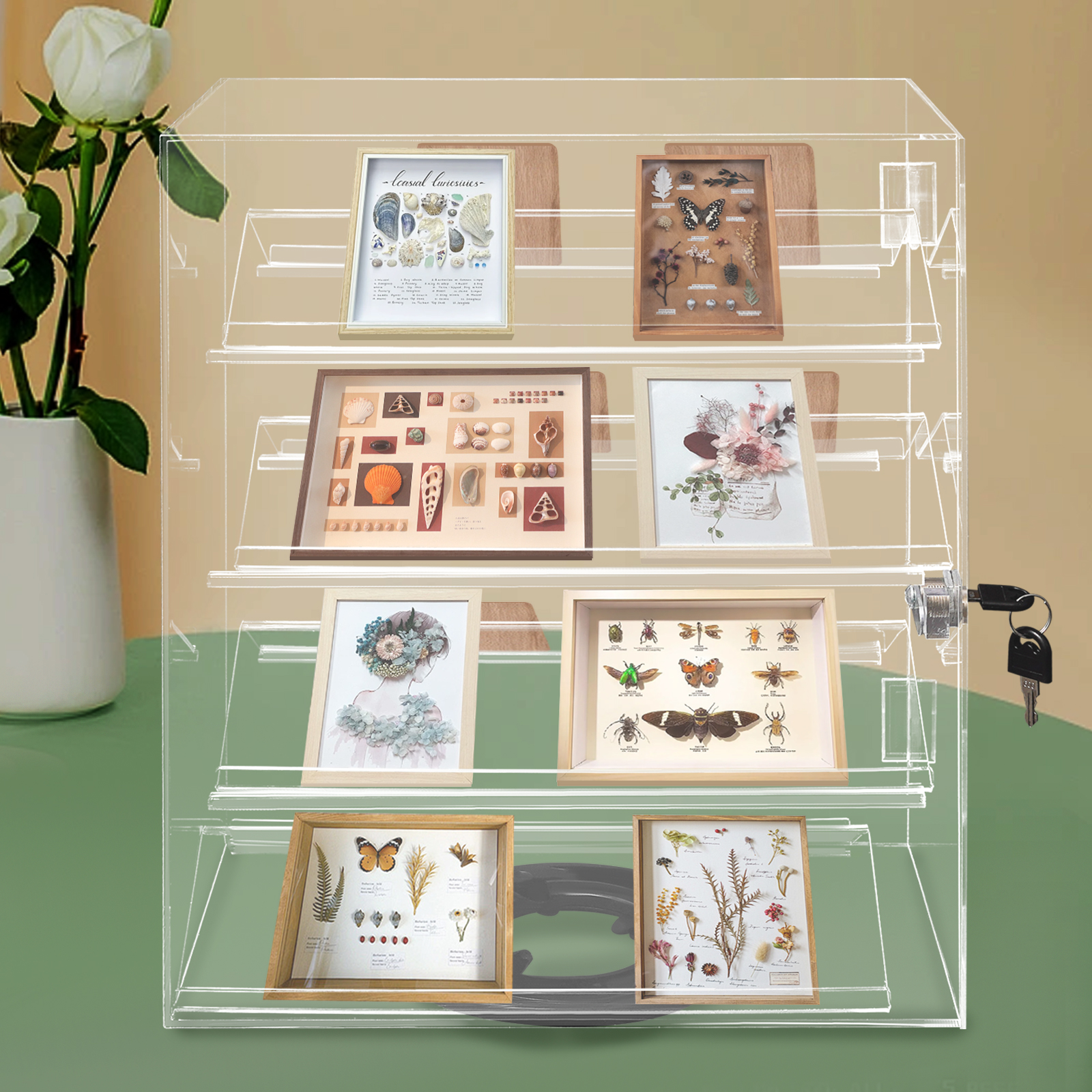 360° Rotating Clear Acrylic Di - огляд і ціна Display Case Acrylic